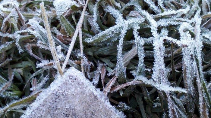 Fenomena Kristal Es Kembali Muncul di Gunung Gede, Sedingin Apa Ya?