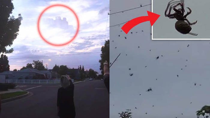 4 Fenomena Alam yang Tak Dapat Dijelaskan, Hujan Laba-laba Hingga Kota di Langit