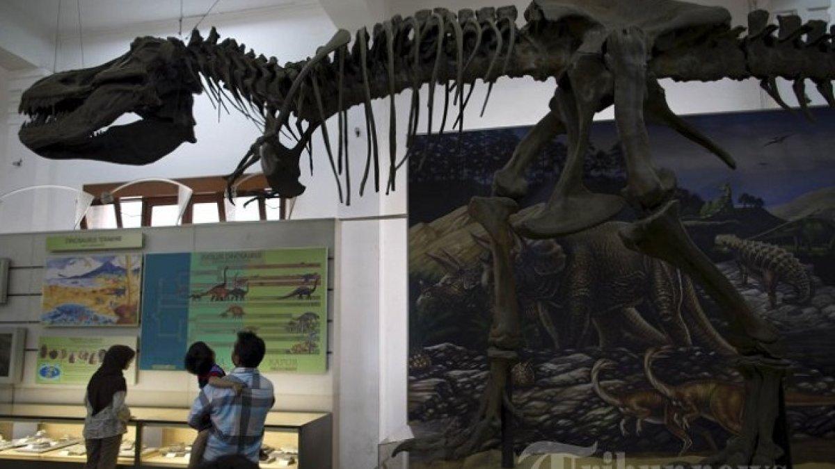 Harga Tiket Masuk Museum Geologi Bandung Terbaru, Wisata Edukatif yang Seru dan Menyenangkan