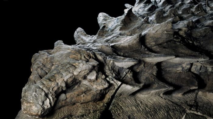 Temuan Fosil Dinosaurus Berusia 110 Juta Tahun Ini Bikin Heboh, Perhatikan Apa yang Pakai