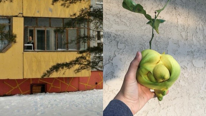Di Luar Nalar, 15 Foto yang Buat Dahimu Berkerut, Nggak Ngerti Lagi deh Maksudnya!