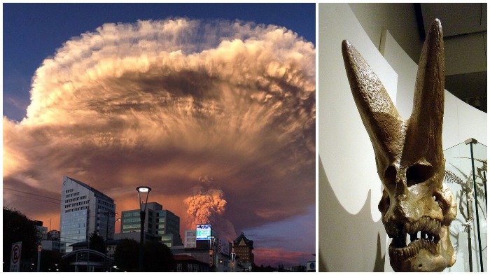 Saatnya Tahu Lebih Banyak! 20 Foto Ini Ungkap Hal-hal Mengejutkan di Dunia: Ada Telur Ceplok Beku