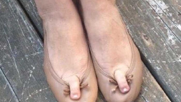Gagal Paham! 11 Gambar Ini Siap Rusak Imajinasimu, No 7 Bikin Nafsu Makan Hilang