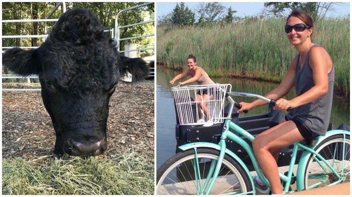 12 Foto Ini Buktikan Potret yang Hebat Terkadang Cuma Butuh Pemilihan Angle yang Tepat