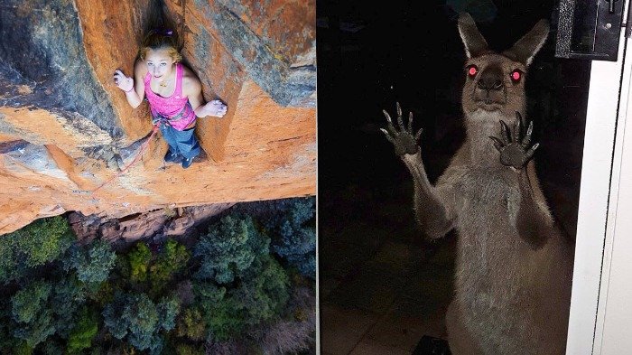Sekali Lihat, 10 Foto Ini Bisa Ikut Buatmu Deg-degan! Itu Jamur atau Jari Zombie?