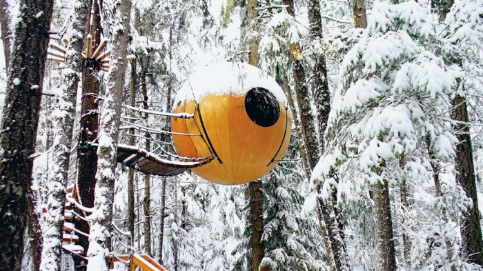 7 Hotel Bertema Rumah Pohon Paling Unik dan Aneh di Dunia, Ada yang Mirip Tempat Persembunyian Ninja