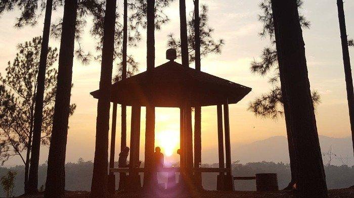 Gazebo untuk santai di Wana Wisata Pokland Cianjur, Jawa Barat