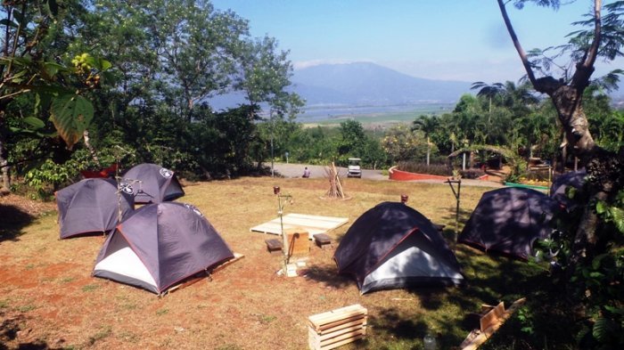 Glamping di Kampoeng Kopi Banaran Semarang, Bangun Pagi Bisa Lihat Pemandangan Gunung Merbabu