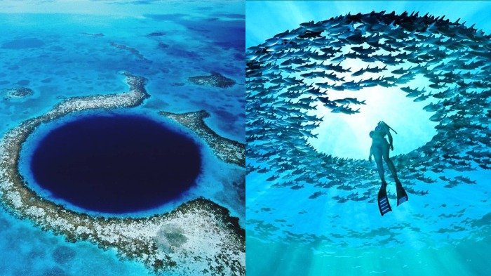 Sempat Jadi Misteri, Isi Great Blue Hole Akhirnya Berhasil Terpecahkan