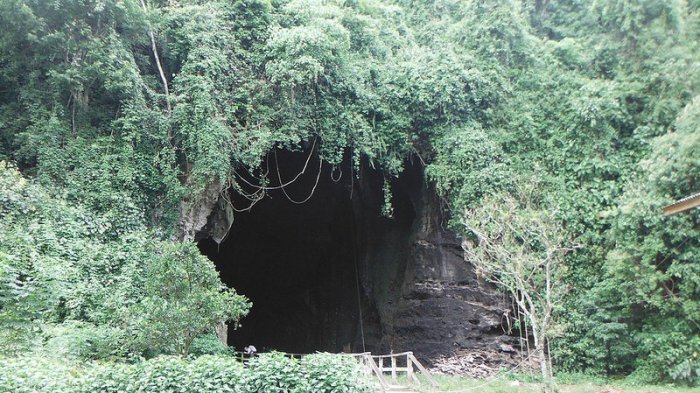 Gomantong - Gua Paling Mengerikan di Dunia! Tak Ada Hantu, tapi Isinya Bikin Traveler Menjerit