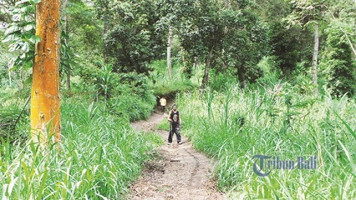 Jangan Nekat Mendaki! Pendakian Gunung Agung Ditutup Sementara, Ini Alasannya