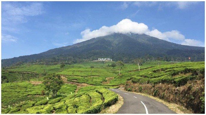 Ambil Kayu Panjang Umur di Gunung Dempo, 10 Pendaki Kena Sanksi Blacklist Selama 3 Tahun