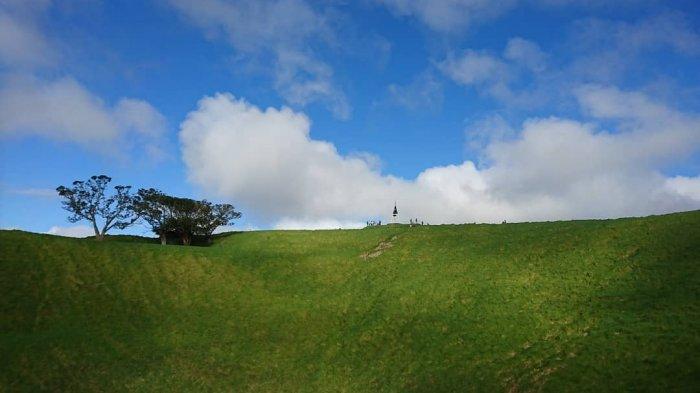 5 Tempat Wisata Terpopuler di Auckland, Selandia Baru