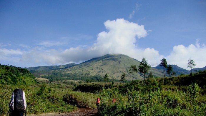 Heboh di Media Sosial! Beredar Video Oknum Diduga Lakukan Pungli pada Pendaki Gunung Guntur Garut