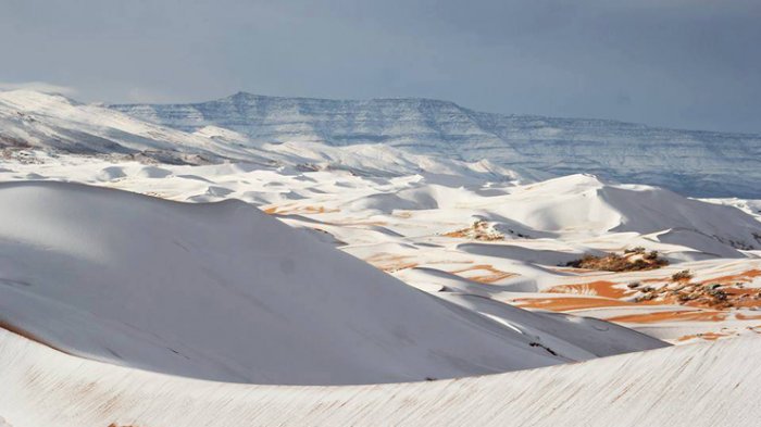 Fenomena Langka! Dikenal Panas, Salju Turun di Gurun Sahara, Intip Foto-fotonya