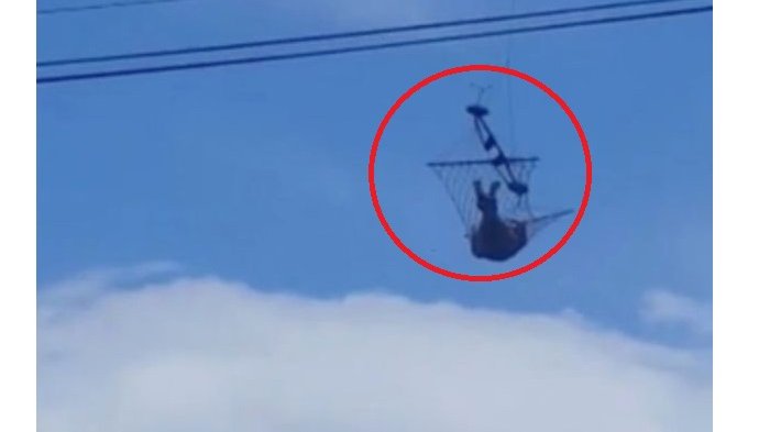 Gila! Pria Ini Bersantai dengan Hammock di Atas Langit, Tempat Memasangnya Pasti Buatmu Ketakutan
