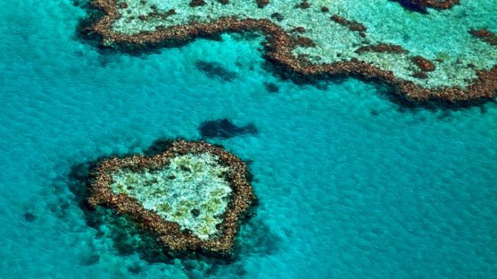 9 Pulau dan Danau Berbentuk Hati Paling Unik di Dunia, Ada yang Hanya Bisa Dilihat dengan Helikopter