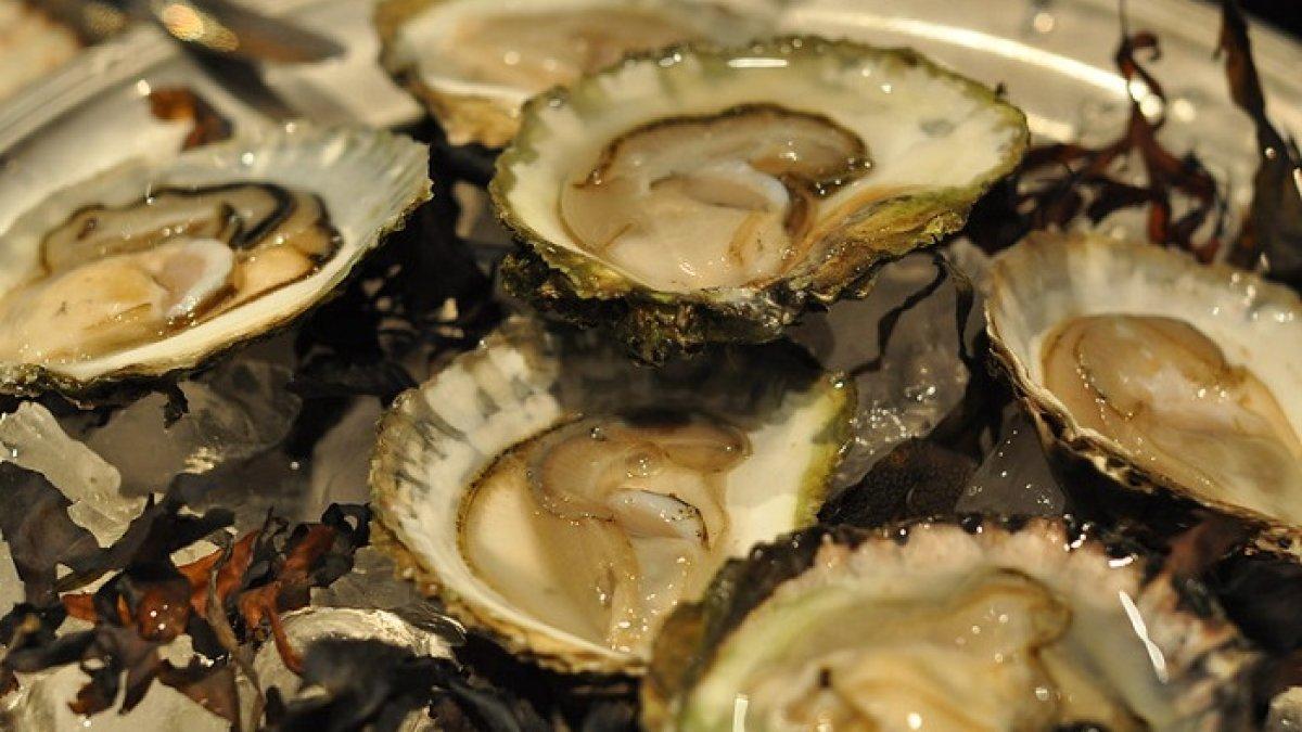 Makan Oyster, Seorang Pria Berusia 55 Tahun Terkena Infeksi dan Berujung Maut