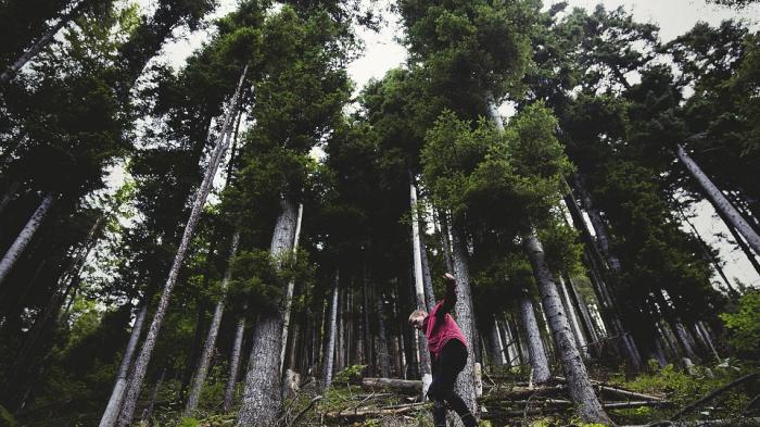 Video Lucu Hiking - Coba Lewati Jembatan, Inilah yang Terjadi di Menit ke-13
