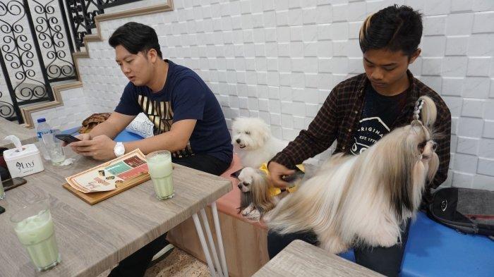 Ada Tempat Khusus Pecinta Anjing di Semarang Lengkap dengan Kafe, Petshop, Hotel hingga Salon Anjing