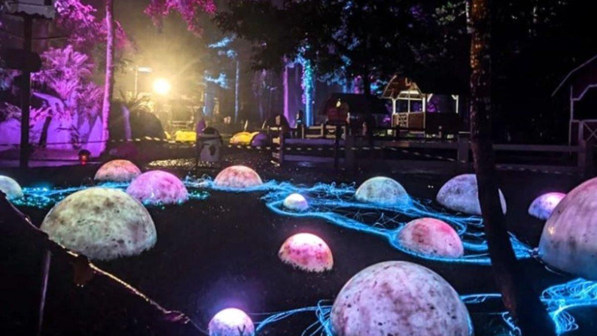 Harga Tiket Masuk Dairyland Riverside Puncak 2023, Wisata Viral yang Hadirkan Hutan Menyala
