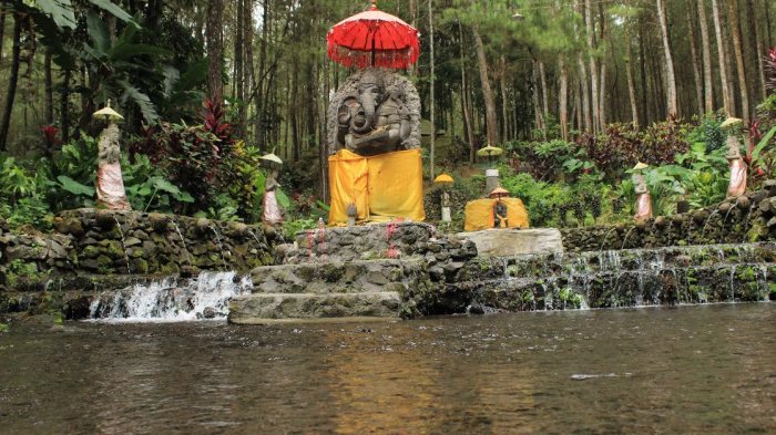 Hutan Pinus Ananthaboga - Menelisik Keindahan Objek Wisata Ujung Jawa Timur Rasa Bali
