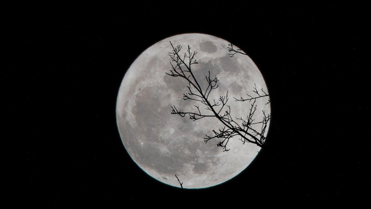 Menelusuri Misteri Orang Bermata Bulan dari Legenda Cherokee, Benarkah Keturunan Penjelajah Welsh?