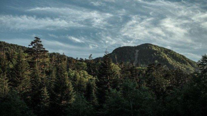 Jepang Sediakan Wisata Sewa Gunung untuk Liburan Antimainstream