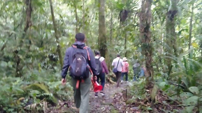 Dua Hari Tersesat di Gunung Geulis, Pendaki Ditemukan di Daerah Angker Tubuhnya Dikerumuni Semut