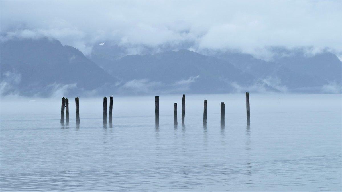 Viral Penemuan 'Telur Emas' Misterius yang di Dasar Laut Dekat Alaska, Peneliti Dibuat Kebingungan