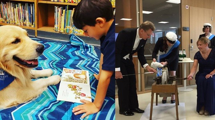 Anjing yang Mengajari Membaca sampai Pedang untuk Dokter, 10 Hal Unik yang Cuma Ada di Finlandia
