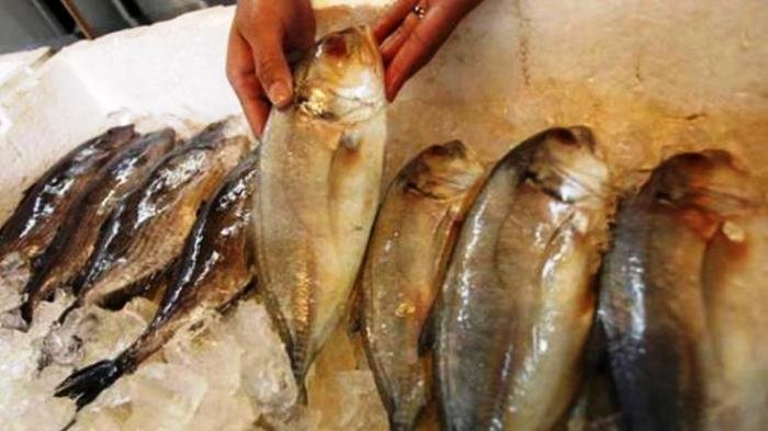 5 Cara Kurangi Risiko Keracunan Merkuri Saat Makan Ikan Laut Terutama Bagi Ibu Hamil