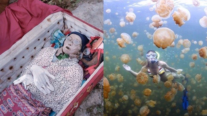 Penuh Keajaiban Dunia, Ini 7 Pengalaman Unik yang Bikin Turis Betah Berlibur di Indonesia