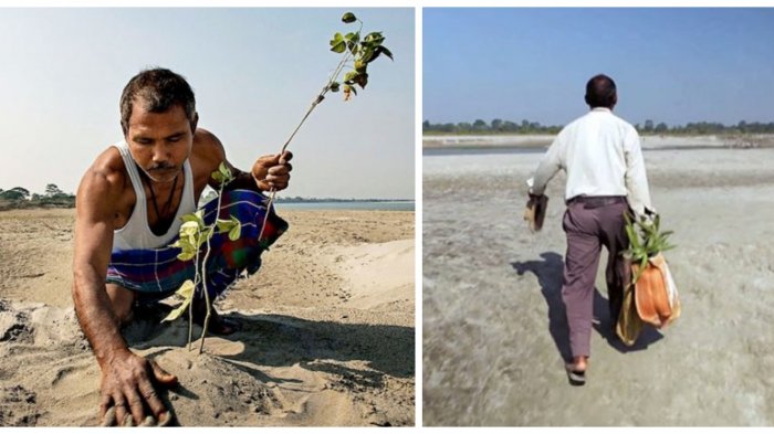 Sejak Usia 16 Tahun, Pria Ini Tanam Pohon di Pulau Terpencil, Setelah 40 Tahun Usahanya Terbayar