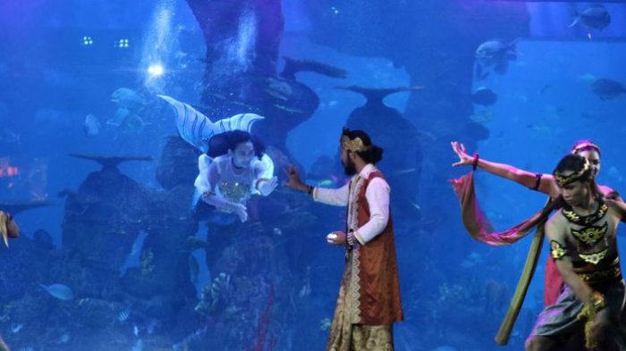 TRIBUNTRAVEL UPDATE: Info Harga Tiket Masuk Jakarta Aquarium & Safari yang Punya Koleksi 3.000 Satwa