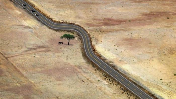 Saat Hutan Gundul, 10 Kontruksi Ini Malah Buat Kita Bangga Masih Ada yang Peduli Alam