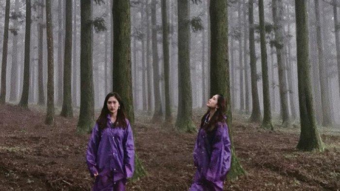 1 Hari Keliling Pulau Jeju Korea Selatan, Kunjungi 6 Tempat Wisata Ini