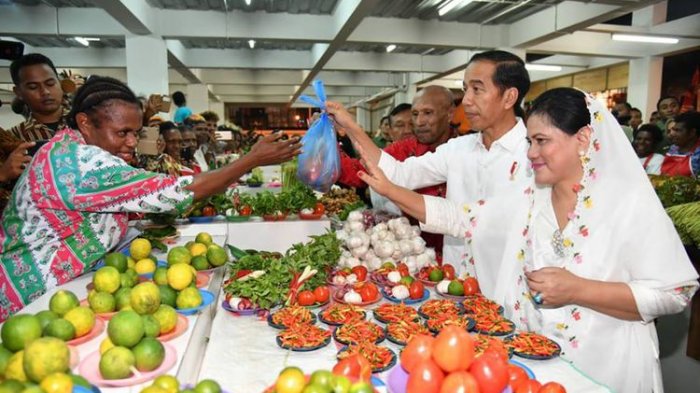 Tiba di Kota Agats, Jokowi Jadi Presiden Pertama yang Menginjakkan Kaki di Tanah Asmat