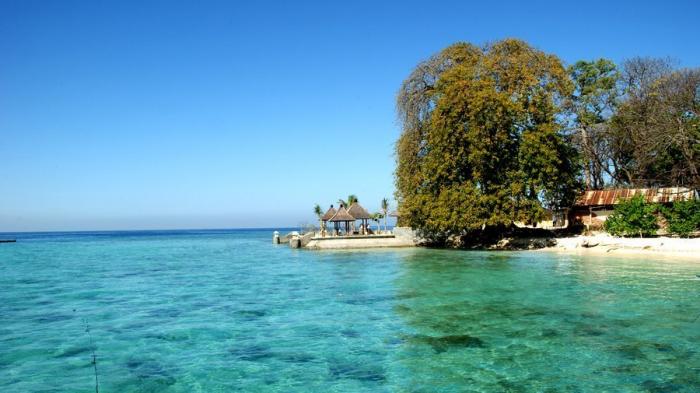 Pulau Terbesar di Dunia - Mengejutkan! Inilah Penilaian Dunia Terhadap Kalimantan dan Sumatera