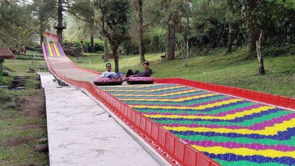 Pengunjung sedang menikmati wahana mountain slide yang ada di Kaliurang Park Botanical Garden Jogja, Kamis (20/04/2023). Lokasinya dekat dengan sejumlah hotel dan tempat sewa motor.