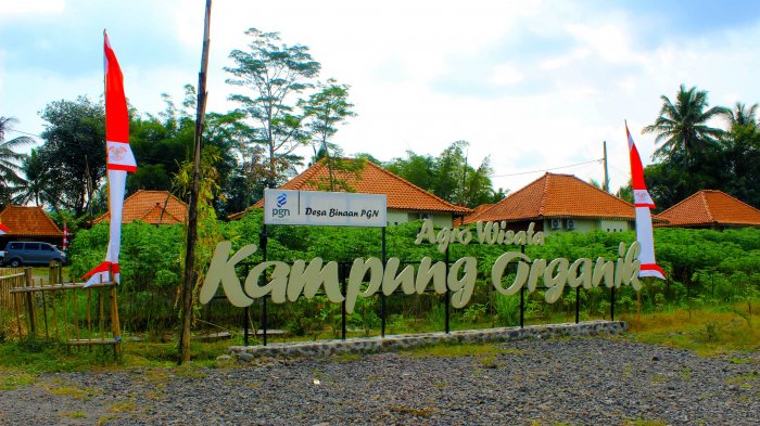 Wisata Kampoeng Organik - Sore Hari, Yuk Nikmati Panorama Bukit Menoreh dengan Bersepeda