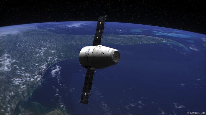 Roket SpaceX Bawa Semut hingga Udang ke Luar Angkasa, Apa Tujuannya?