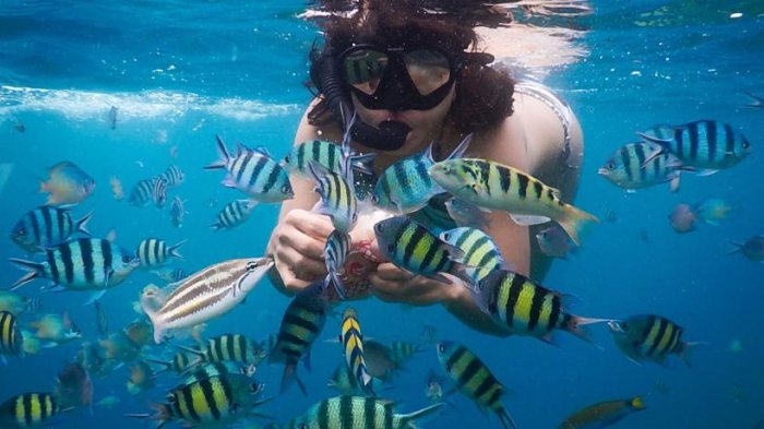 Penginapan Murah Karimunjawa - Rekomendasi 10 Homestay dengan Harga di Bawah Rp 200 Ribu