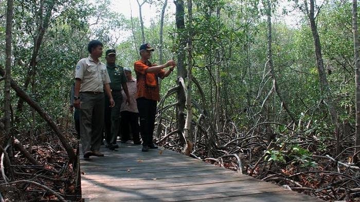 Selain Keindahan Alam Bawah Lautnya, Karimunjawa Punya Tracking Mangrove Alami