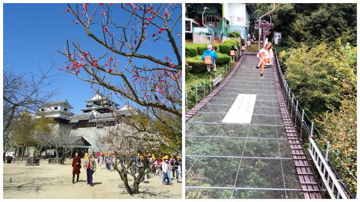 Melihat Keindahan Kastil Matsuyama, Kastil Bersejarah di Jepang dengan 200 Pohon Sakura