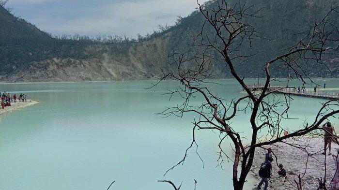 Dibuka Kembali, Ini Harga Tiket Masuk Kawah Putih Ciwidey Bandung