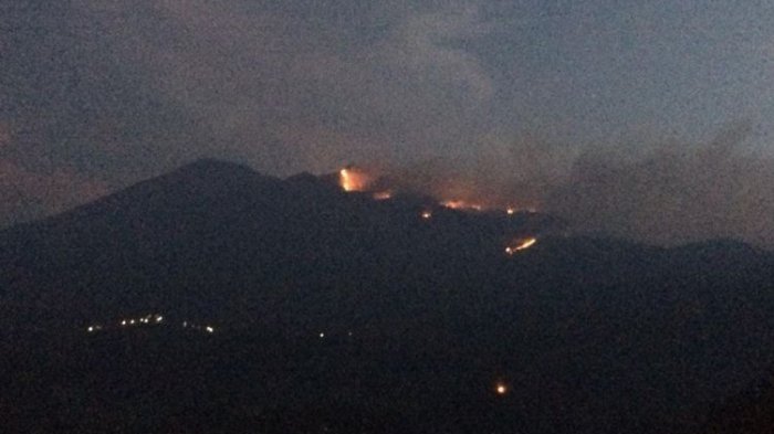 Kebakaran Melanda Gunung Merbabu di Jawa Tengah, 100 Hektar Lahan Terbakar