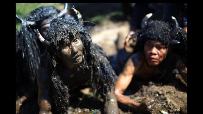 Kebo keboan Banyuwangi - Unik! Petani di Sini Jadi 'Kerbau' di Bulan Tertentu, Ini Tujuannya