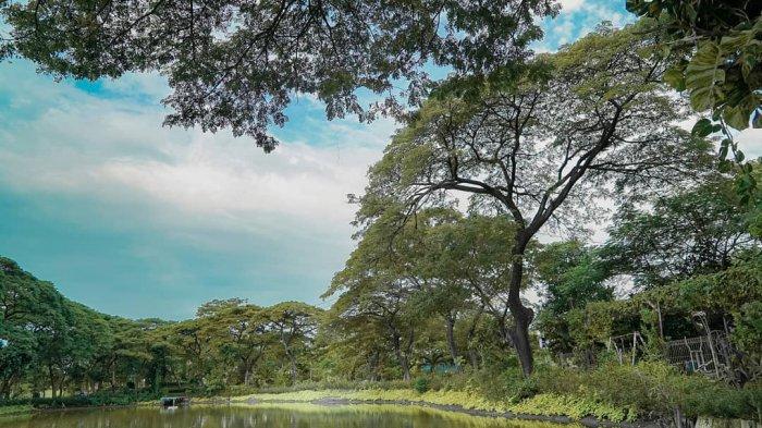 Rekomendasi 7 Tempat Wisata Gratis di Surabaya untuk Liburan Akhir Pekan