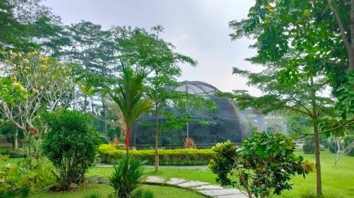 Taman Paku di Kebun Raya Indrokilo Boyolali, Jawa Tengah, Sabtu (16/7/2022).